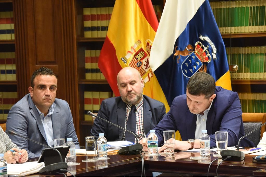 El presidente del Comité Español de Representantes de Personas con Discapacidad (CERMI), Luis Cayo Pérez Bueno, en el Parlamento de Canarias