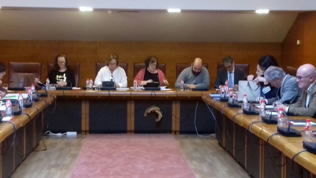 CERMI Cantabria durante la comparecencia en la Comisión de Universidades e Investigación, Medio Ambiente y Política Social del Parlamento de Cantabria