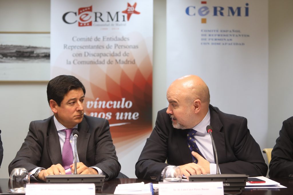 Borja Fanjul y Luis Cayo Pérez Bueno durante la reunión ordinaria del Comité Ejecutivo del CERMI Estatal, que se ha celebrado en la sede del Ayuntamiento de Madrid