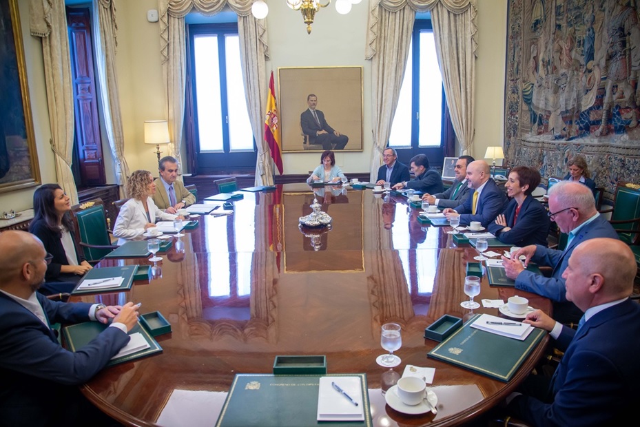 Reunión entre el Comité Español de Representantes de Personas con Discapacidad (CERMI) y la presidenta del Congreso de los Diputados, Meritxell Batet