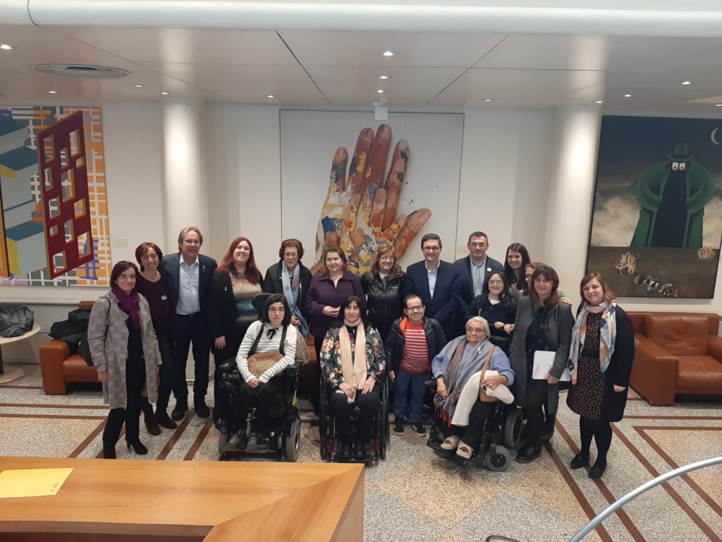 fotografía de la delegación del movimiento de la discapacidad asistente al Senado.