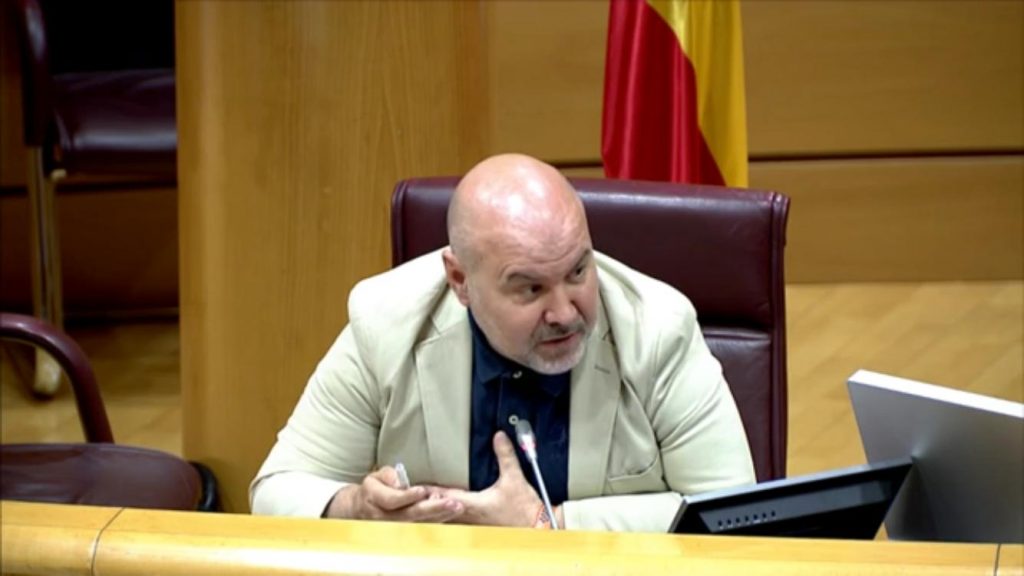 Luis Cayo Pérez Bueno en una comparecencia ante la Comisión para las Políticas Integrales de la Discapacidad del Senado