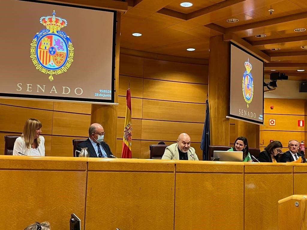 Luis Cayo Pérez Bueno en una comparecencia ante la Comisión para las Políticas Integrales de la Discapacidad del Senado