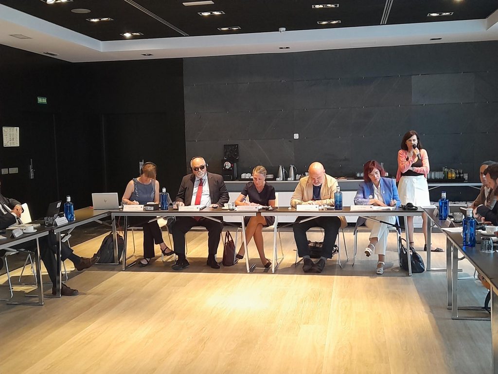 Reunión de trabajo entre El Comité Español de Representantes de Personas con Discapacidad (CERMI) y el Foro Europeo de la discapacidad, (EDF)