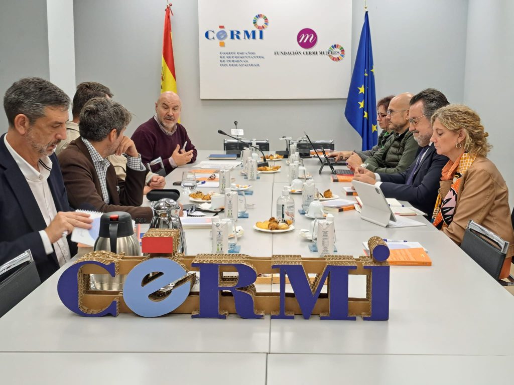 Participantes en el Comité Ejecutivo CERMI Estatal