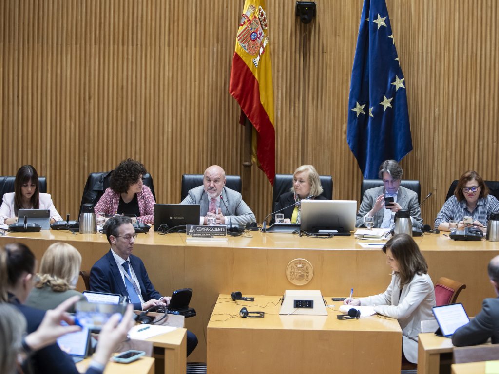 Luis Cayo Pérez Bueno, durante su intervención en la Comisión para las Políticas Integrales de la Discapacidad ante el Congreso de los Diputados.