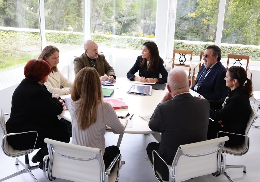 Imagen de la reunión del CERMI y otras entidades sociales con la Reina Leticia