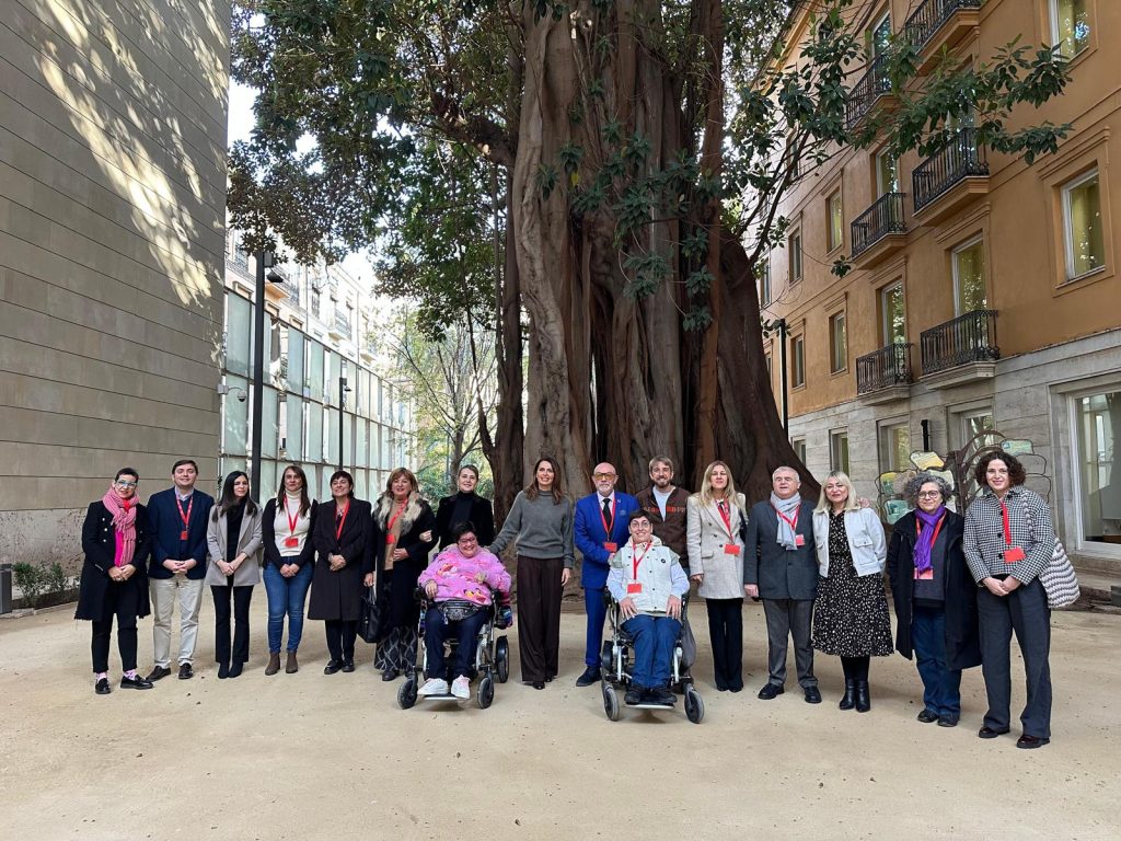 Comité de Entidades Representantes de Personas con Discapacidad de la Comunidad Valenciana (CERMI CV) celebra la aprobación unánime por parte de Les Corts Valencianes de la nueva Ley de Accesibilidad Universal de la Comunitat Valenciana